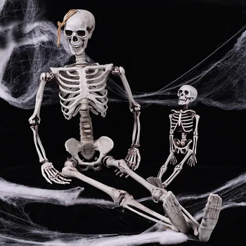 Украшение на Хэллоуин Модель человеческого Скелета Подделка Активная Анатомия Скелета Медицинское Обучение Скелет На Хэллоуин Украшения для Вечеринок